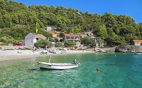Apartments Robinzon Petar